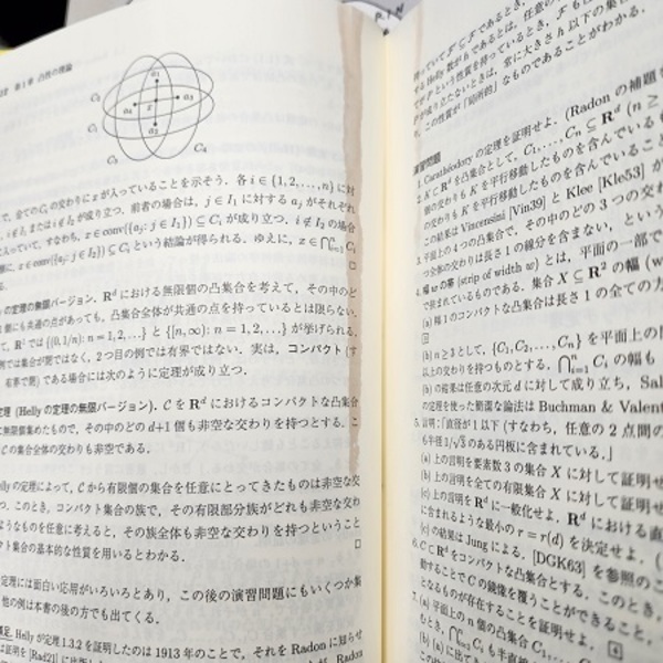 離散幾何学講義 (J.マトウシェク著 岡本吉央訳) / 古本、中古本、古  