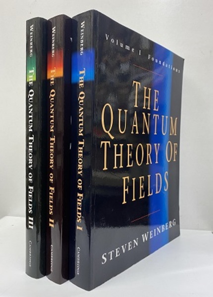 THE QUANTUM THEORY OF FIELDS Volume 1