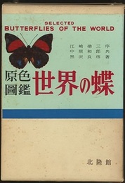 原色図鑑世界の蝶  