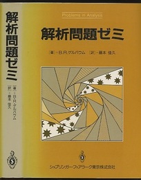 解析問題ゼミ  