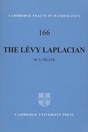 The Levy Laplacian (Soft)  