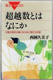 超越数とはなにか 代数方程式の解にならない数たちの話 