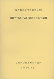 流体方程式の近似解法とその特異性  