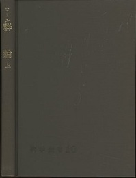群論　上  