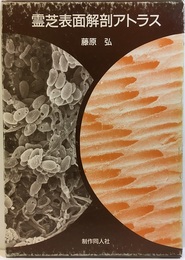 霊芝表面解剖アトラス  