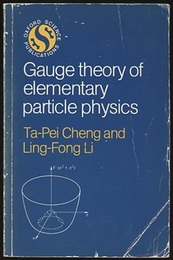 Gauge Theory of Elementary Particle Physics (Soft)  