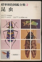 昆虫  