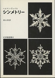 シンメトリー  