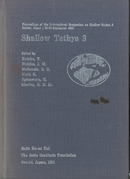 Shallow Tethys 3  