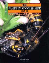 図説社会性カリバチの生態と進化  