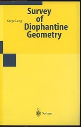 Survey of Diophantine Geometry  