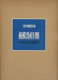相模湾産貝類  