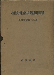 相模湾産後鰓類図譜 図版50 