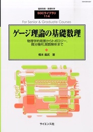 ゲージ理論の基礎数理 物理学的背景からトポロジー，微分幾何，関数解析まで 