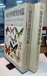 原色世界蝶類図鑑  