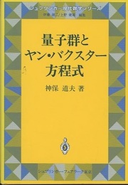 量子群とヤン・バクスター方程式  
