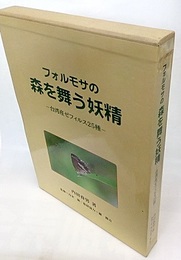 フォルモサの森を舞う妖精 台湾産ゼフィルス25種 