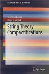 String Theory Compactifications  