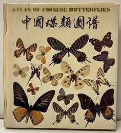 (中文) 中国蝶類図譜  