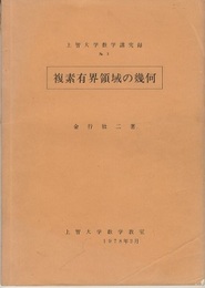 複素有界領域の幾何  