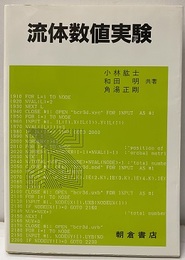 流体数値実験  