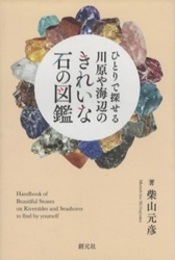 ひとりで探せる 川原や海辺のきれいな石の図鑑  