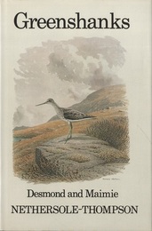 Greenshanks  