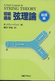 初級講座弦理論 基礎編・発展編  