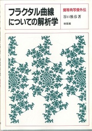 フラクタル曲線についての解析学 擬等角写像外伝 