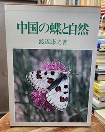 中国の蝶と自然  