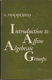 Introduction to Affine Algebraic Groups  