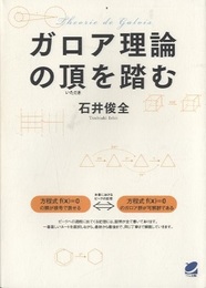ガロア理論の頂を踏む  