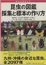 昆虫の図鑑 採集と標本の作り方　旧版 野山の宝石たち 