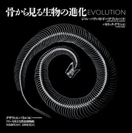 骨から見る生物の進化  