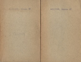 HOOKER'S Icones Plantarum : Vol. 1-2 (Indian Orchideae) or Figures with brief descriptive characters and Remarks、 of new and rare plants 