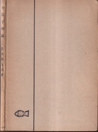 中間子理論  