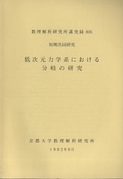 低次元力学系における分岐の研究  
