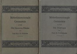 Mehrdimensionale Geometrie : Vo. 1- 2 Die Linearen Raume 