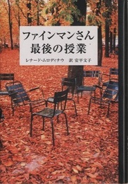 ファインマンさん最後の授業  