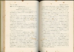 数学基礎論の世界 ロジックの雑記帳から 