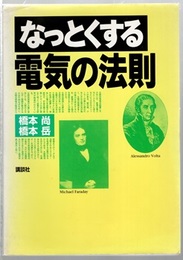 なっとくする電気の法則  