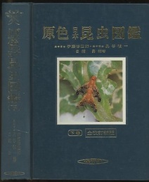 原色日本昆虫図鑑　下　全改訂新版  