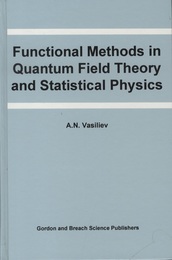Functional Methods in Quantum Field Theory and Statistical Physics  