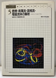 燃焼・希薄流・混相流・電磁流体の解析  