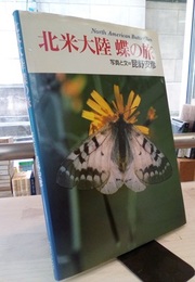 北米大陸　蝶の旅 North American Butterflie 