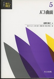 K3曲面  
