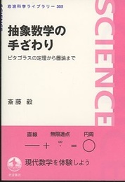 抽象数学の手ざわり ピタゴラスの定理から圏論まで 