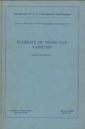 Stability of Projective Varieties  