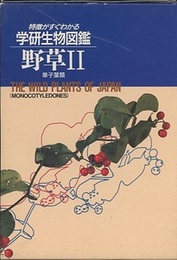 野草　Ⅱ　単子葉類  