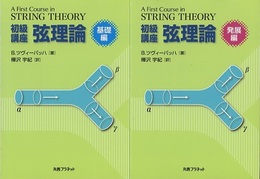 初級講座弦理論 基礎編・発展編  